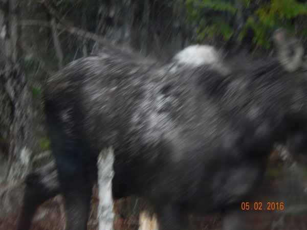 DSCN1078.JPG