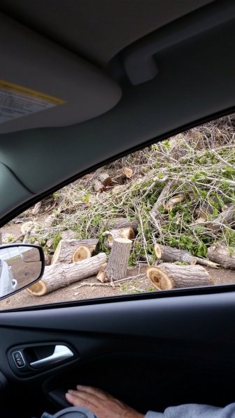 20160501_165919.jpg