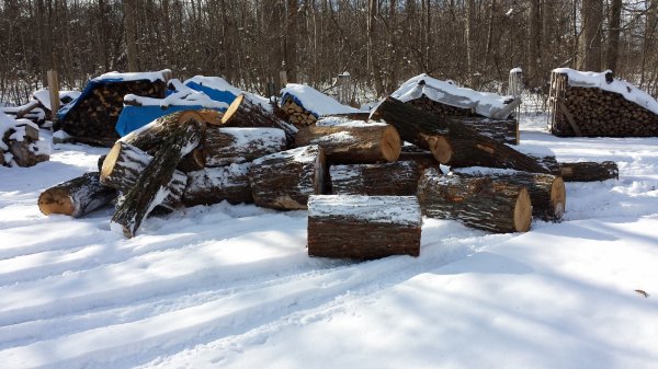 20160211_151158.jpg