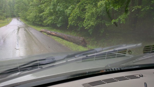 firewood beside road  .jpg
