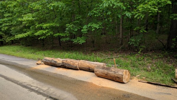 cut into 4 ft sections  .jpg