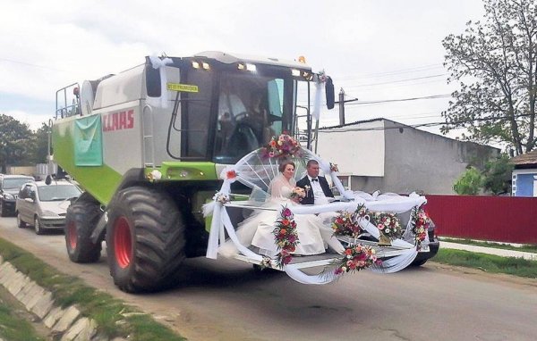 Farmer wedding.jpg