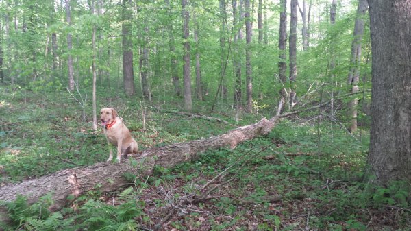 20160507_184533.jpg