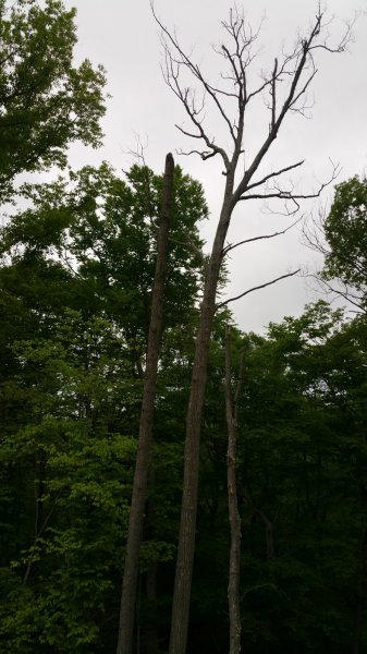 20160505_190400.jpg