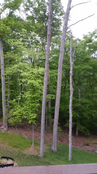 20160505_190406.jpg