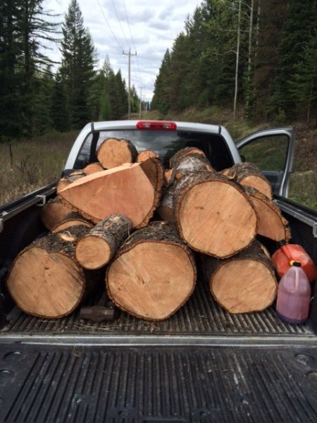 truck fir 2.JPG
