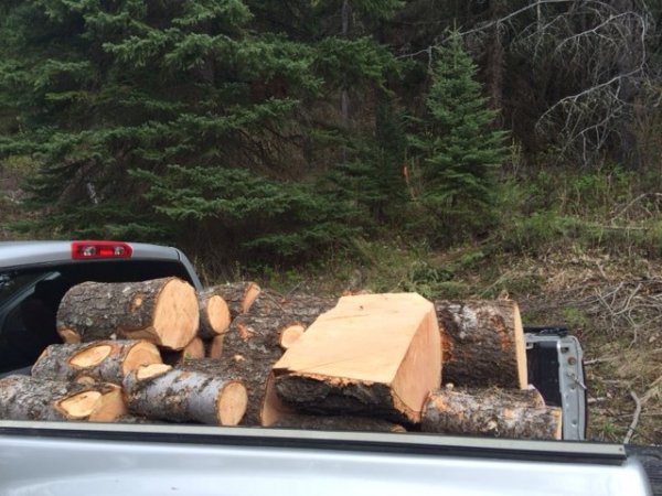 truck fir 3.JPG