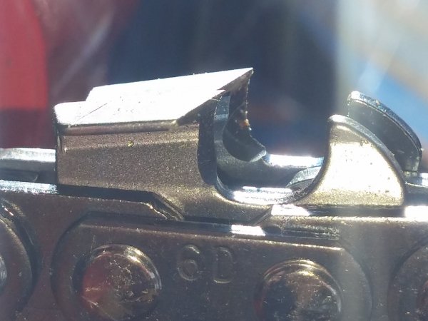 20160518_081245.jpg
