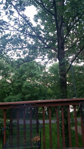 20160522_200909.jpg