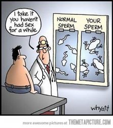 Sperm pics.jpg