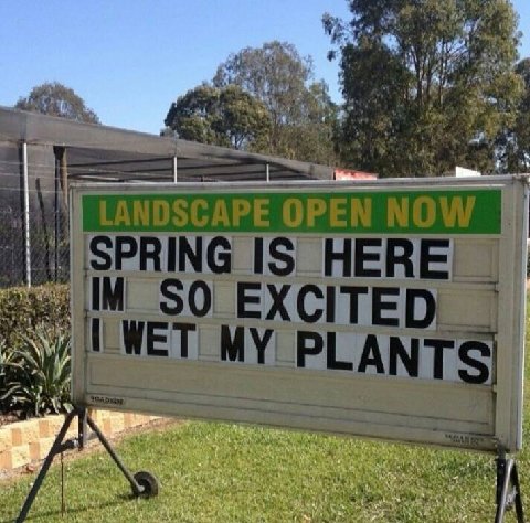 Spring sign.jpg