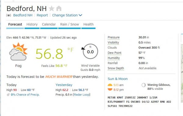 99 percent humidity.JPG