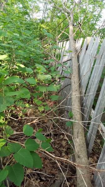 20160524_192423-1.jpg