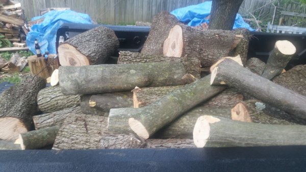 20160524_165248 [59761].jpg