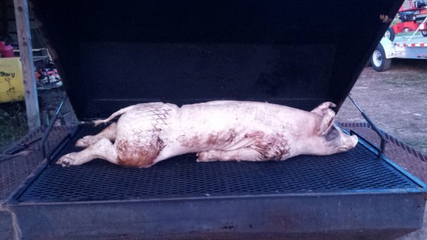 20160528_053203.jpg