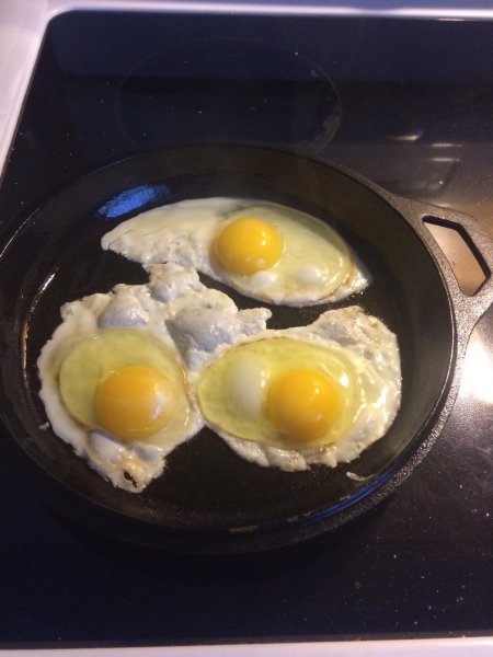image.jpeg