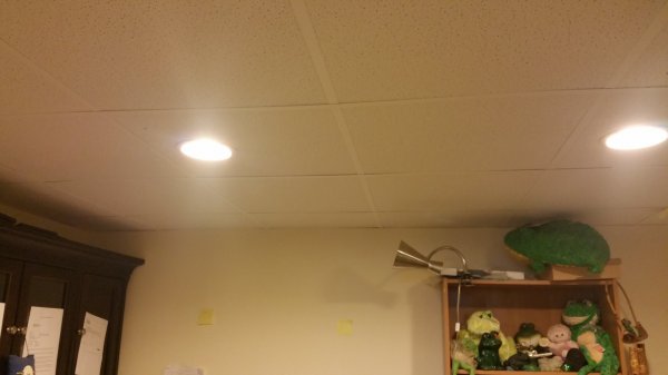 20160531_175617.jpg