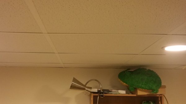 20160531_175639.jpg