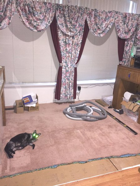 Looking West.. the last of the carpet.jpg