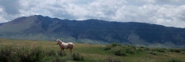 IMG_20160531_140411054 (1) (2).jpg