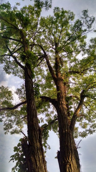 IMG_20160528_074636913_HDR.jpg