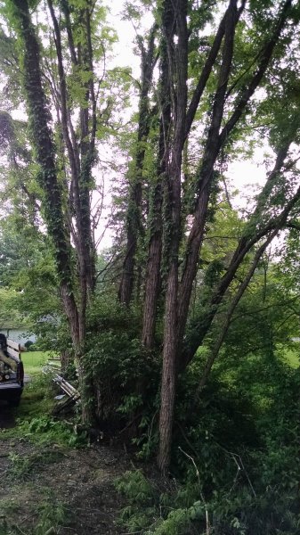 IMG_20160529_092924185.jpg