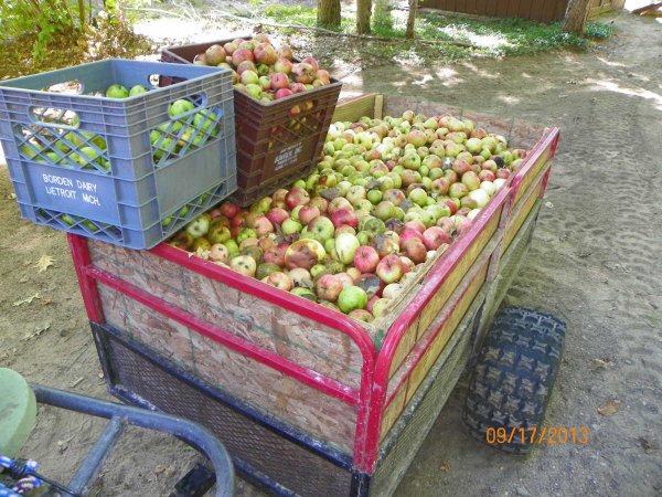 Cider making material.JPG
