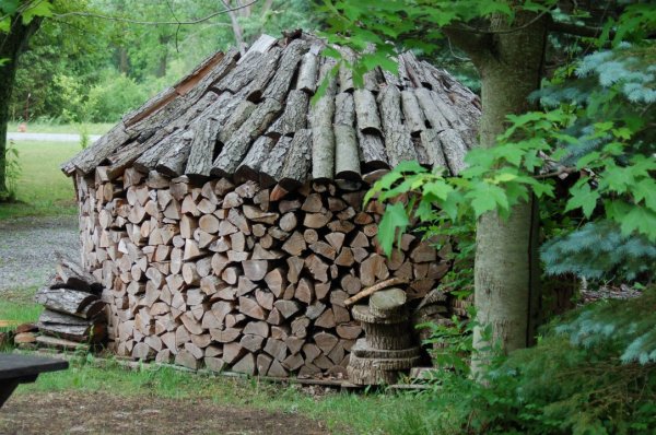 DSC_4897 (Custom).JPG