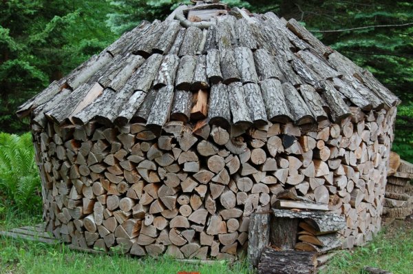 DSC_5002 (Custom).JPG