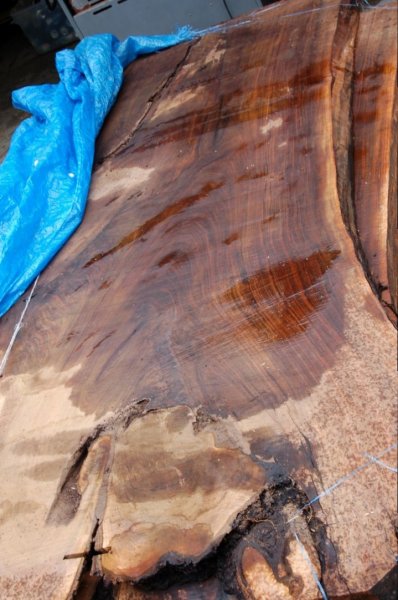 DSC_4904 (Custom).JPG