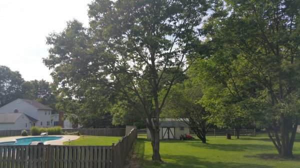 20160610_165158.jpg