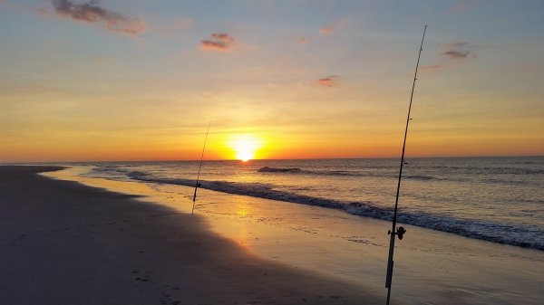 20160611_053105.jpg