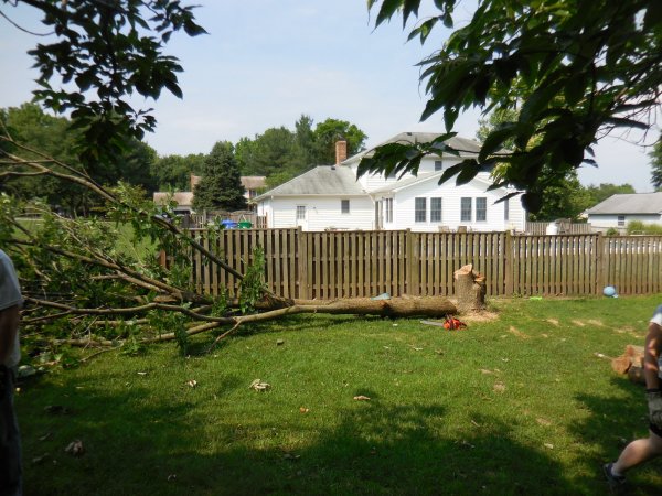 DSCN0350.JPG