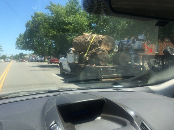 wheelbarrow.jpeg