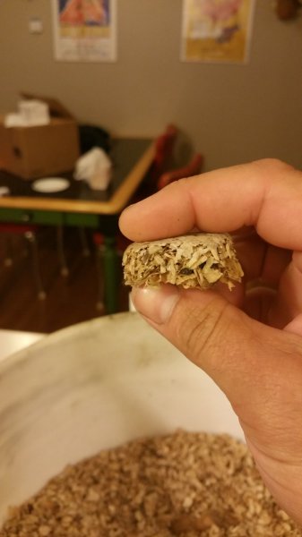 20160618_204022.jpg