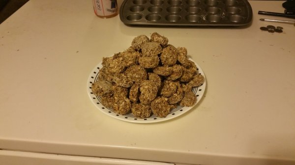 20160618_205543.jpg