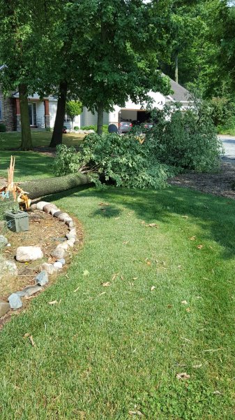20160620_171034.jpg
