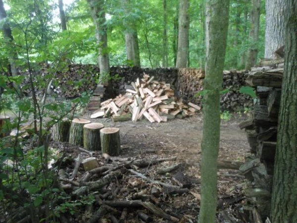 woodpile2.jpg