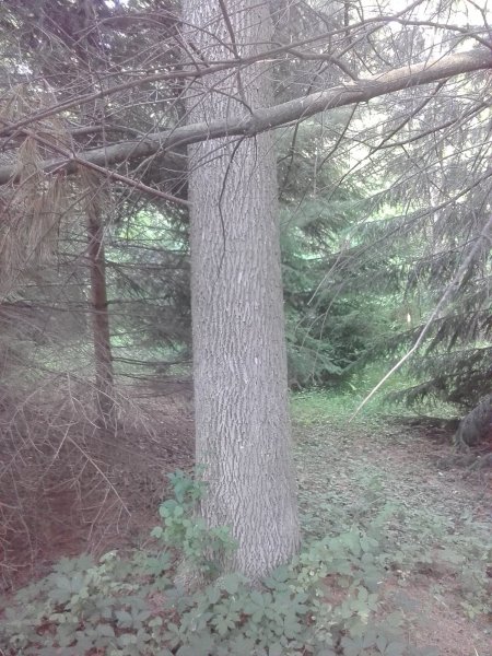 20160624_191649.jpg