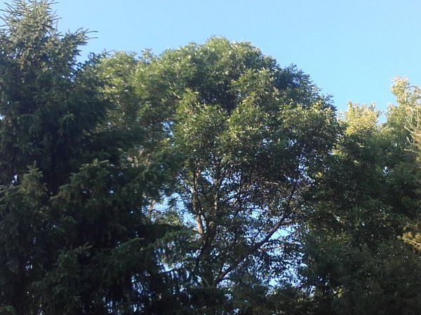 20160624_191605.jpg