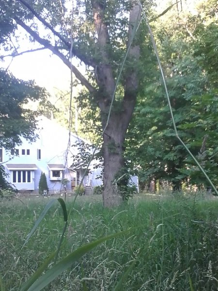 20160624_192004.jpg