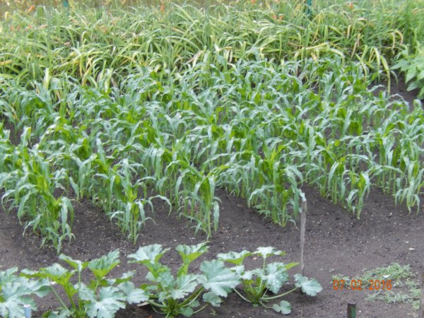 DSCN1208.JPG