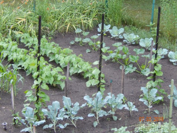 DSCN1209.JPG