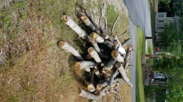 pile of wood turned.jpg