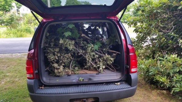 Truckload of tops 1.jpg