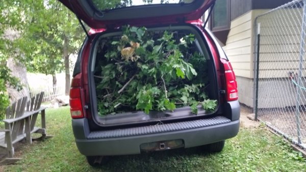 Truckload of tops 2.jpg