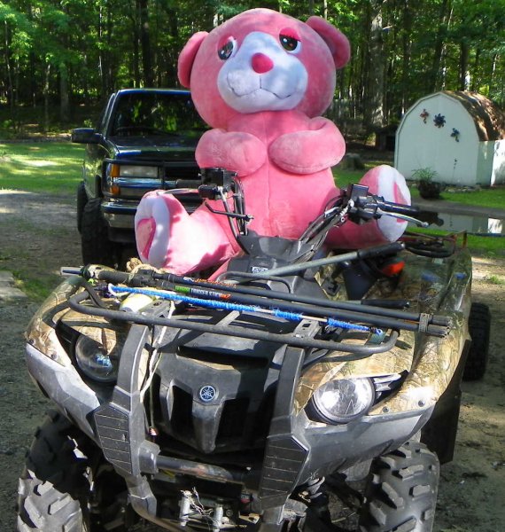 Atv highjacked-1.JPG