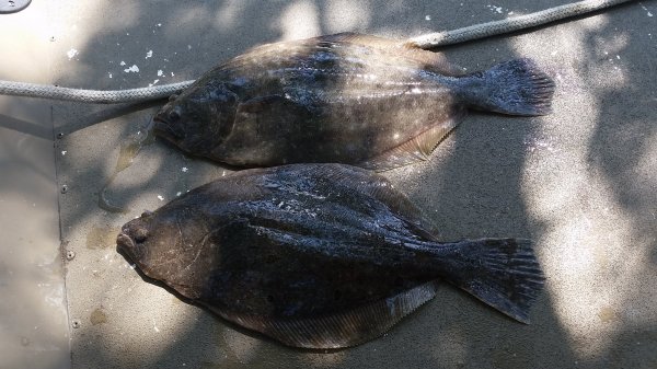 20160715_150537.jpg