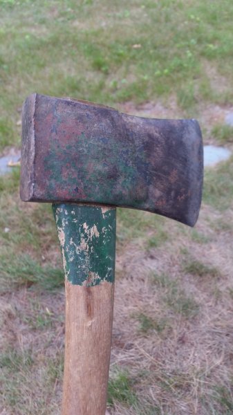 Kelly champion head.jpg