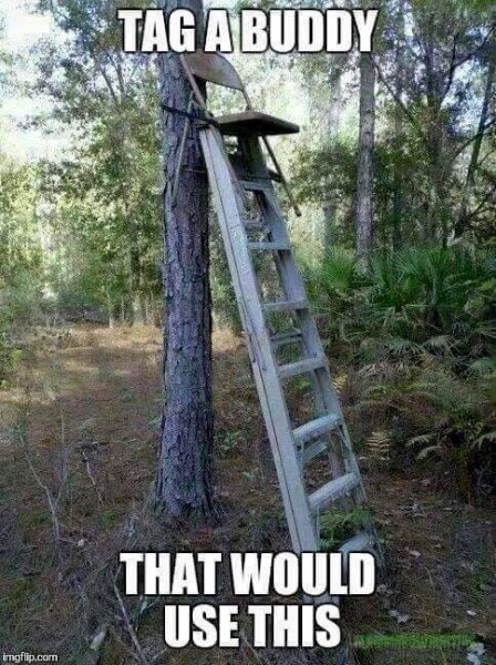New treestand.jpg